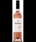 Phebus Malbec Rosé Mendoza