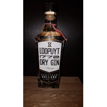 Loopuyt