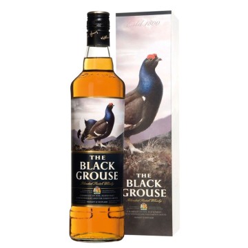 The Black Grouse